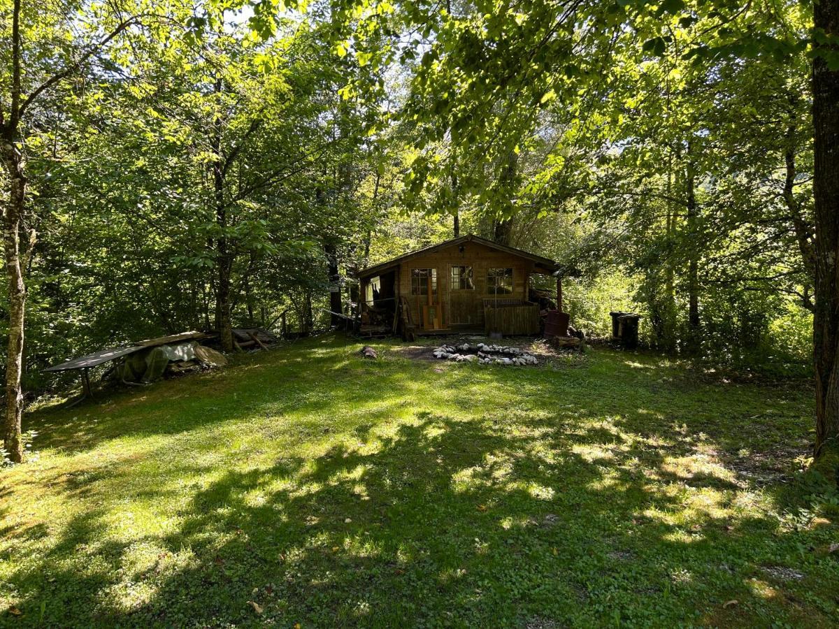 Haus Am Wald -Fewo 2 Marktschellenberg Exteriér fotografie